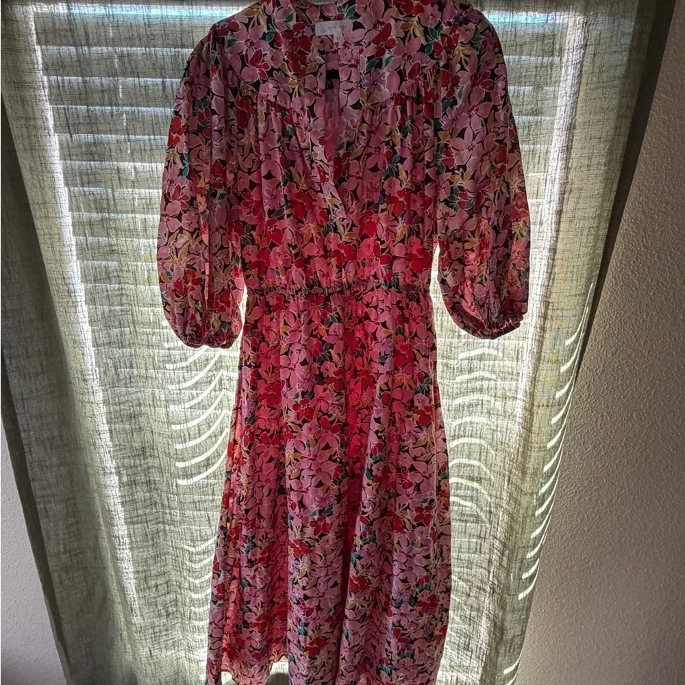Corey Lynn Calter Vibrant Floral Maxi Dress - Picture 3 of 3
